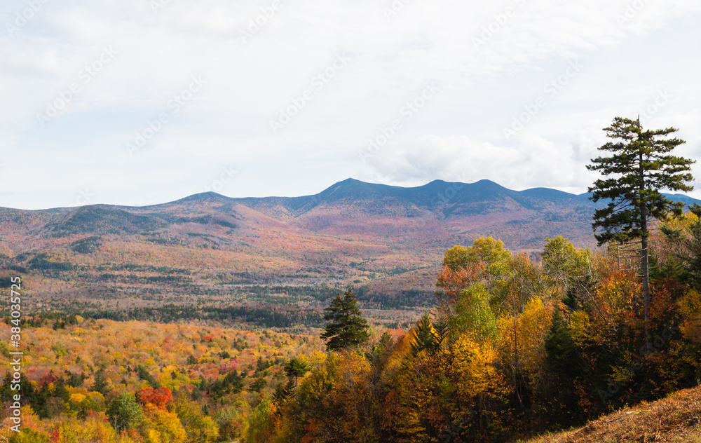 Beautiful leaves changing fall mountains background in New Hampshire