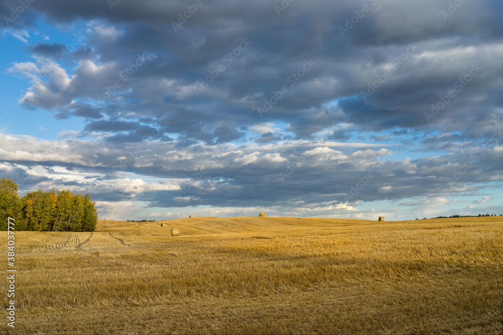 Rural landscape with harvested hay and cereal fields and hay bales