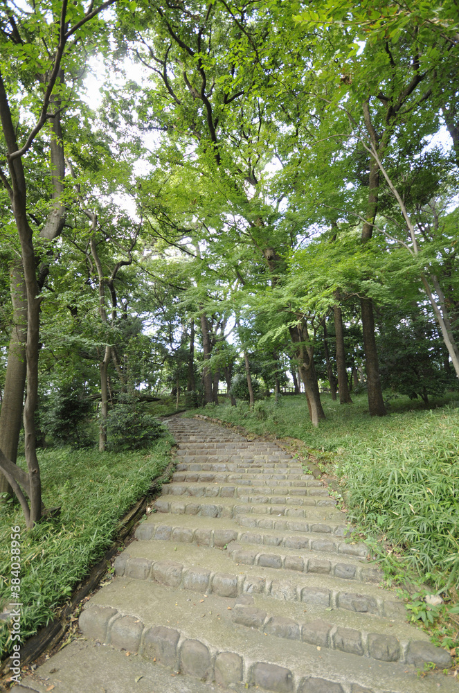 宝来公園 宝来公園