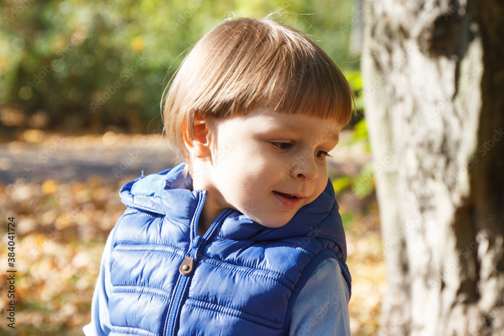 Portrait of preschooler in autumn park. Happy childhood concept Portrait of preschooler in autumn park. Happy childhood concept