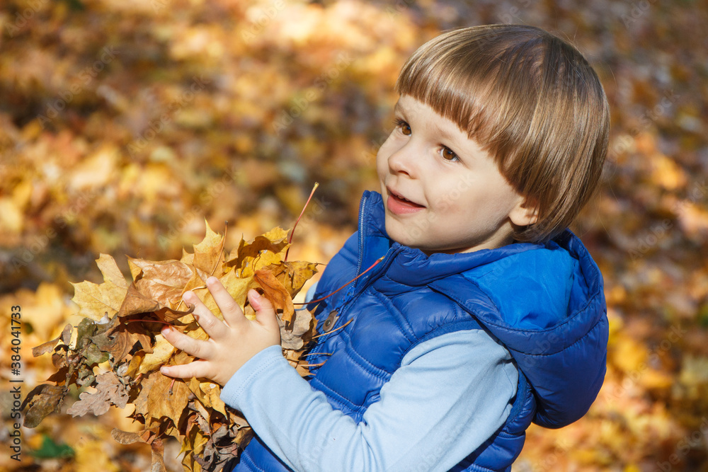 Preschooler playing with leaves in autumnal park. Happy childhood concept Preschooler playing with leaves in autumnal park. Happy childhood concept
