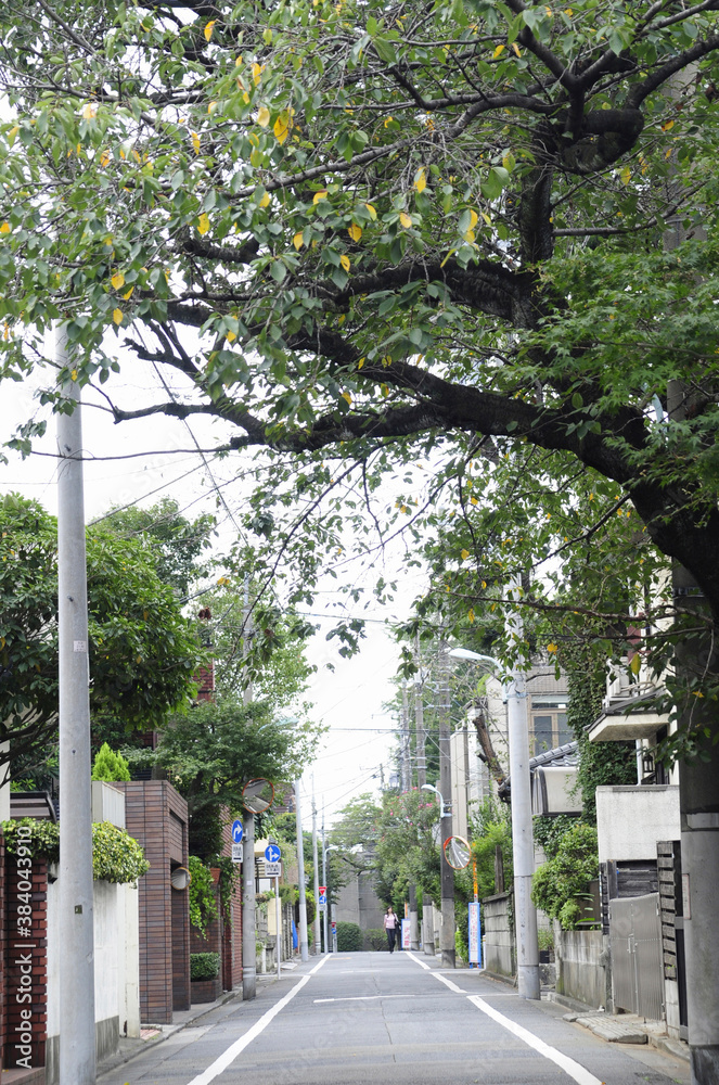 自由が丘2丁目付近の住宅街 自由が丘2丁目付近の住宅街