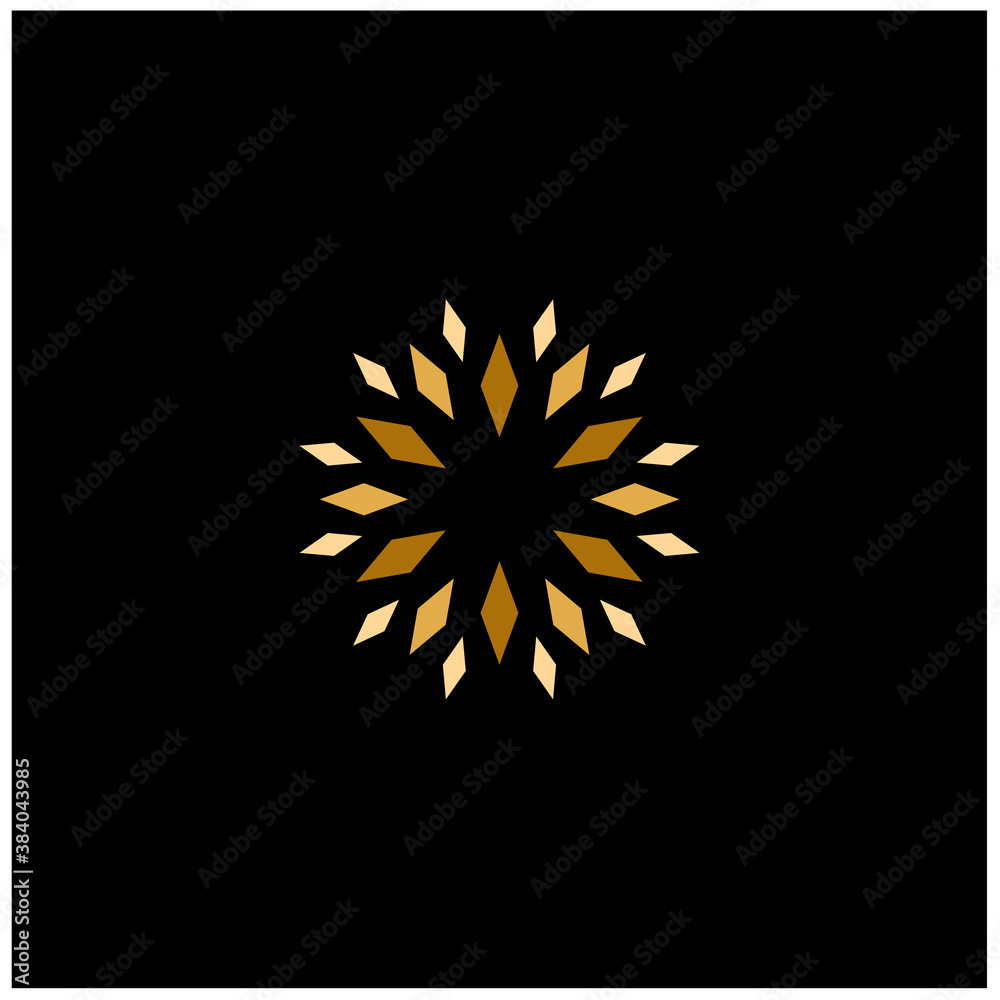 Fototapeta premium Elegant Golden Star Flower Fireworks Luxury logo design