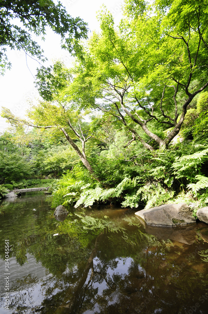 池田山公園の森林と池