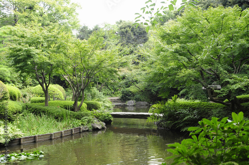 池田山公園の森林と池