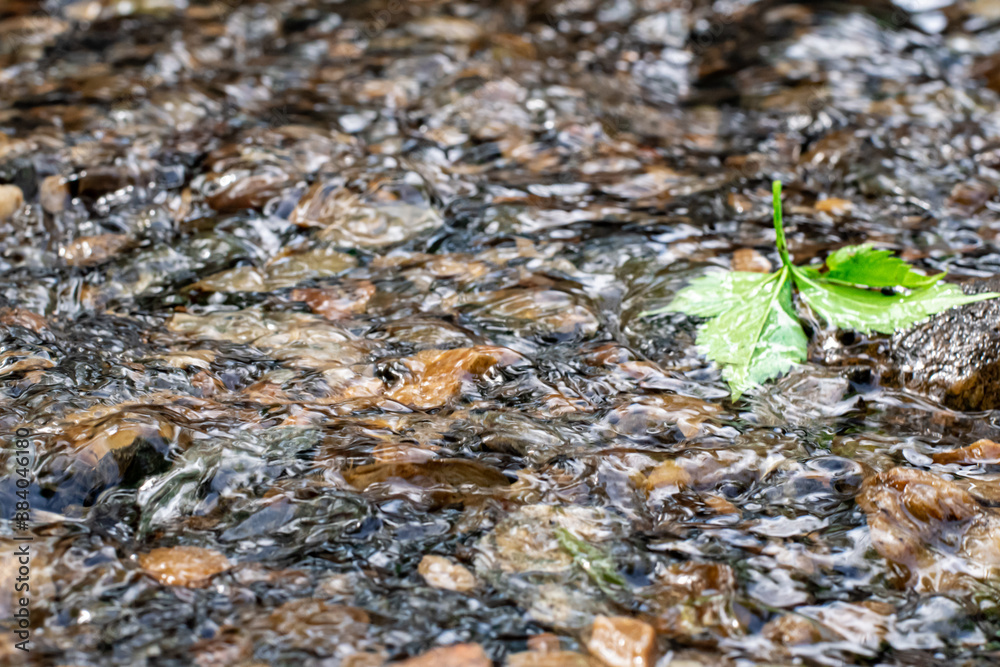 Fototapeta premium Leaf in running water through rocks