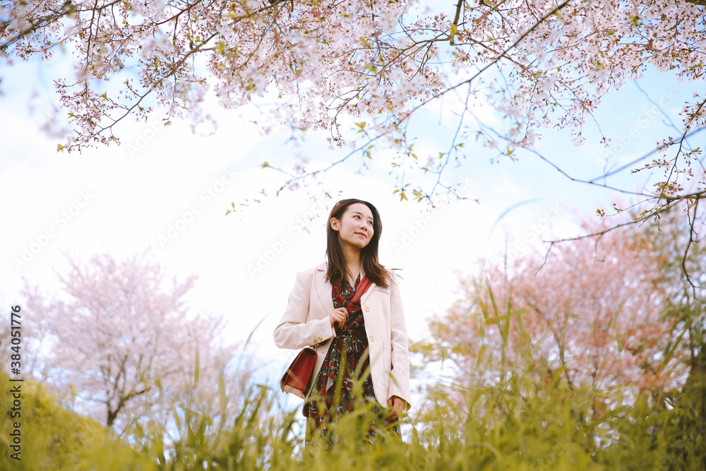 Girl and cherry blossoms in spring, Kyoto, Japan Girl and cherry blossoms in spring, Kyoto, Japan