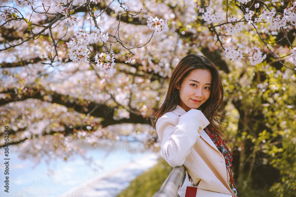 Girl and cherry blossoms in spring, Kyoto, Japan Girl and cherry blossoms in spring, Kyoto, Japan