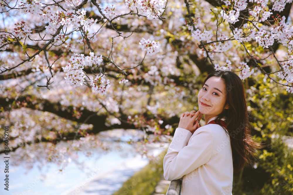 Girl and cherry blossoms in spring, Kyoto, Japan Girl and cherry blossoms in spring, Kyoto, Japan