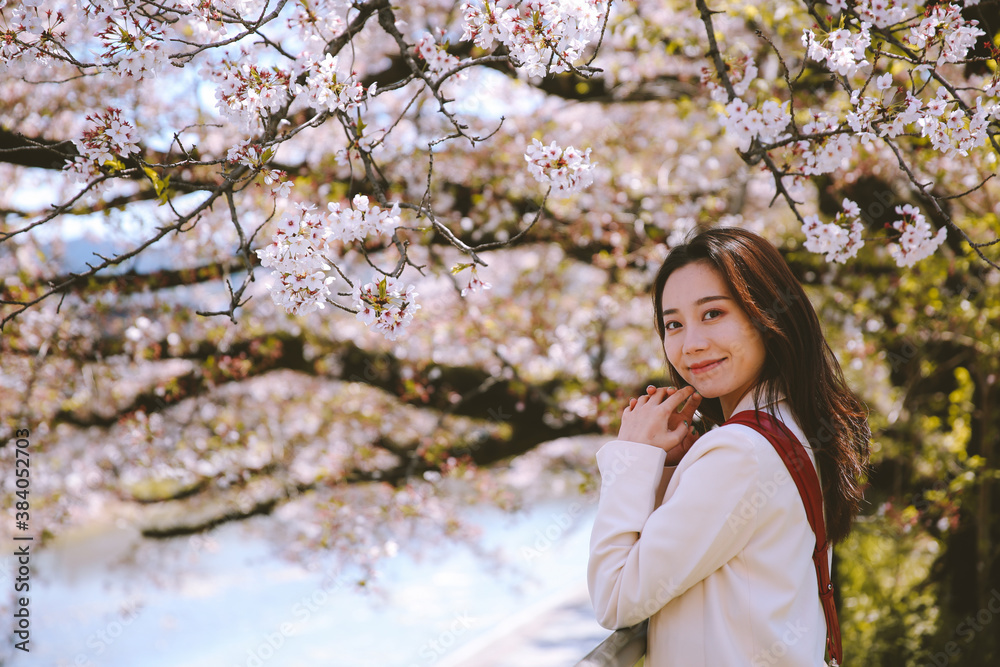 Girl and cherry blossoms in spring, Kyoto, Japan Girl and cherry blossoms in spring, Kyoto, Japan