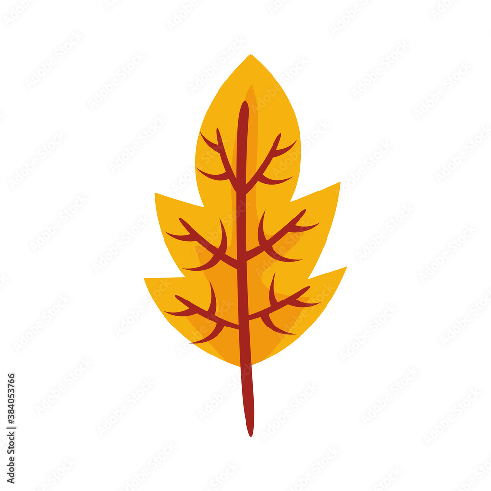 autum lobed leaf flat style icon autum lobed leaf flat style icon