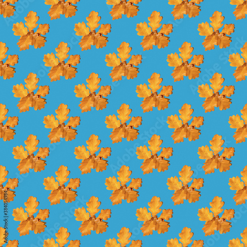 Seamless pattern of fallen dry autumn maple leaves on a bright blue background. Can be used as a natural background