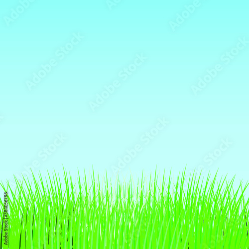 Green grass on blue sky background, vector