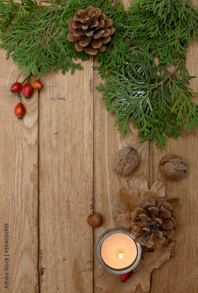 Christmas tree branches background. Christmas tree branches background.