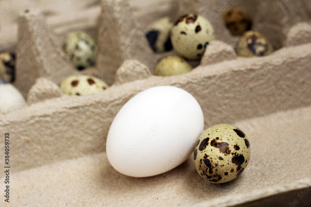 Quail egg and chicken egg on a cardboard box