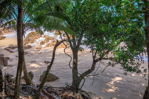 Natural background of seaside scenery  with coconut trees  boulders  sandy beach  and blurred sea waves.