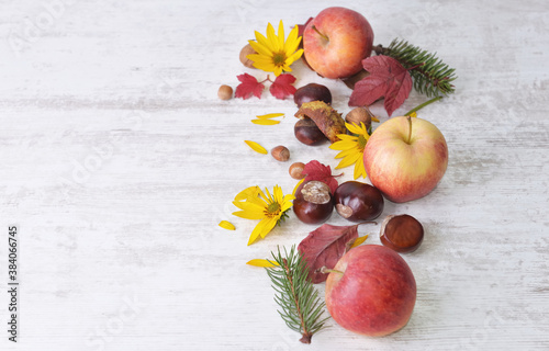 red apples, brown, yellow flowers with leaves in autumnal still life on white...