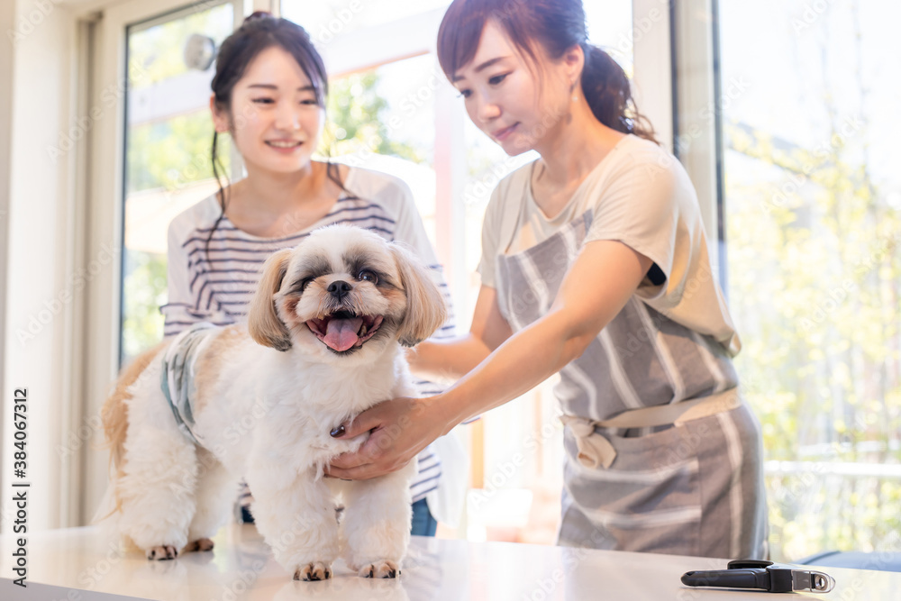犬と女性
犬と女性