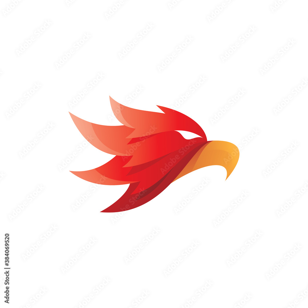 Bird Eagle Falcon Hawk Head Mascot Logo