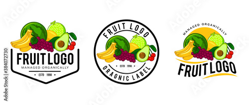 fruit logo template design