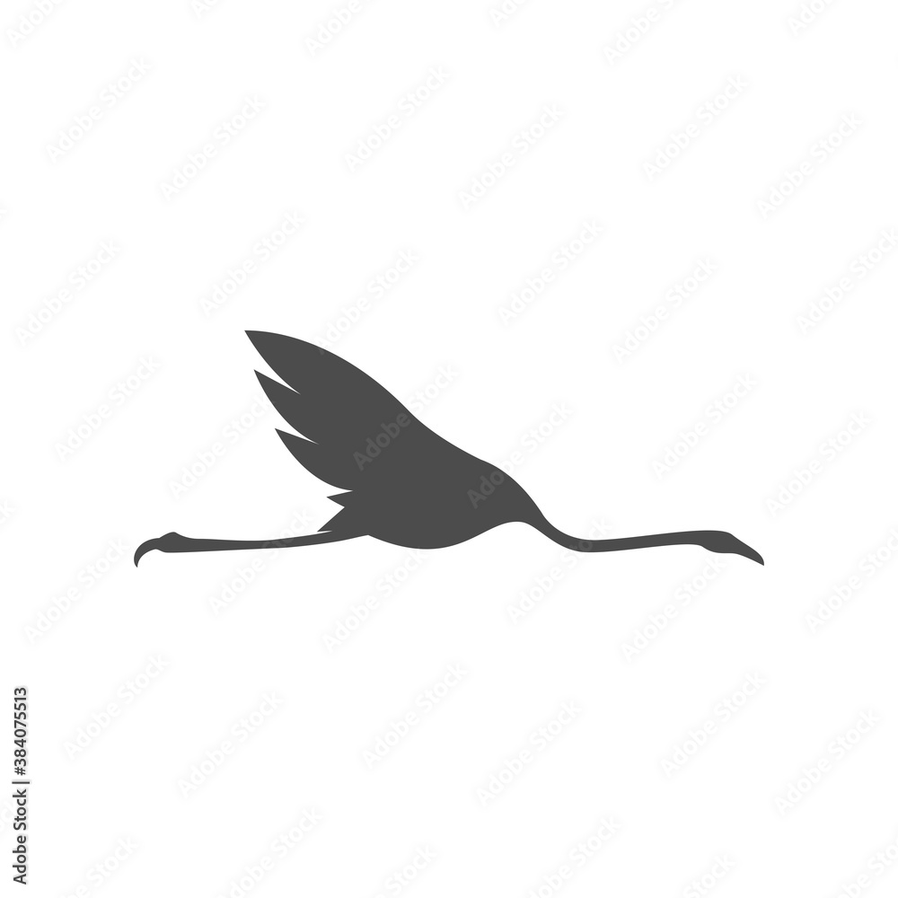 Fototapeta premium Flamingo