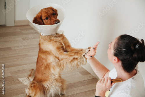 Young girl looking at her dog Golden Retriever with Elizabethan Plastic Cone. Medicine concept for pets. Training a dog.