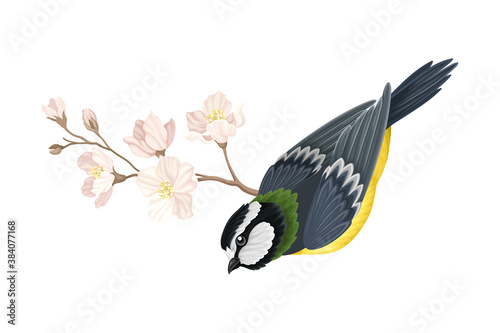 Garden Tit Perching on Branch with Apple Blossom Vector Illustration