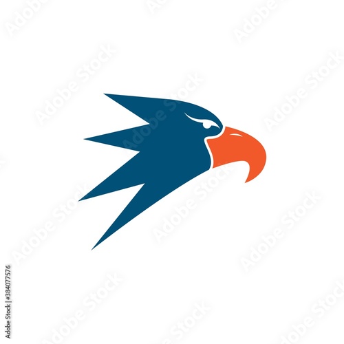 Falcon Eagle Bird
