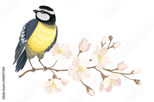 Garden Tit Perching on Branch with Apple Blossom Vector Illustration