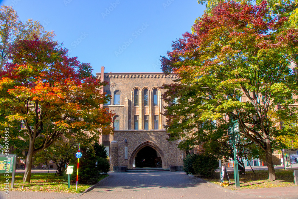 秋の紅葉と博物館
