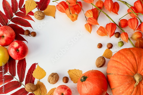 thanksgiving day concept, autumn harvest frame with space for text, leaves, apples and pumpkins, top view