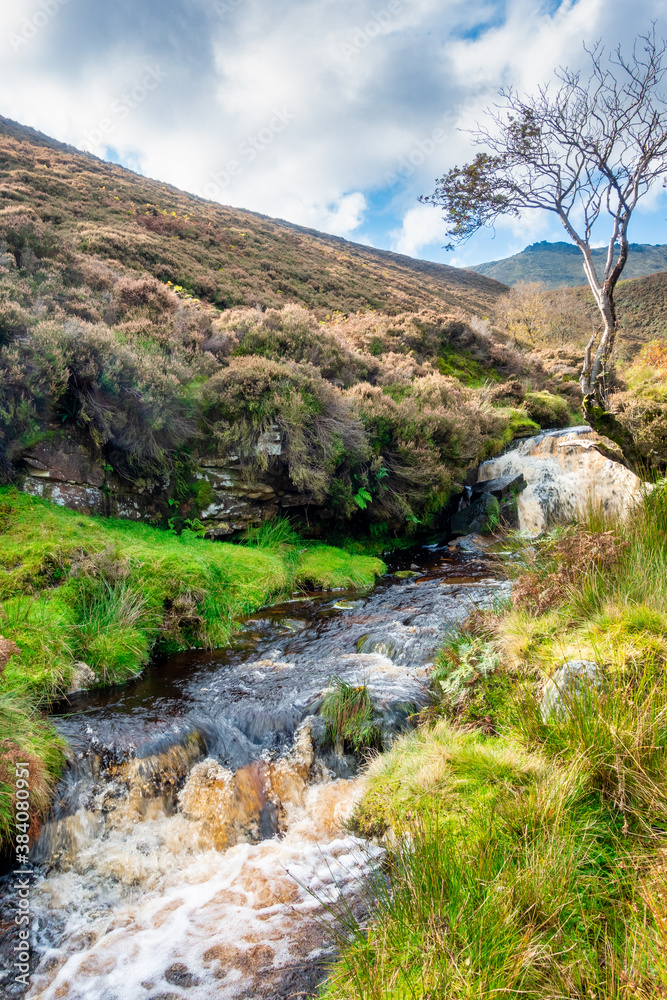 stream in the mountains stream in the mountains