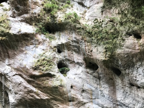 Swallow's nest along the Swallow Grotto Yanzikou Trail. Taroko National Park, Taiwan.