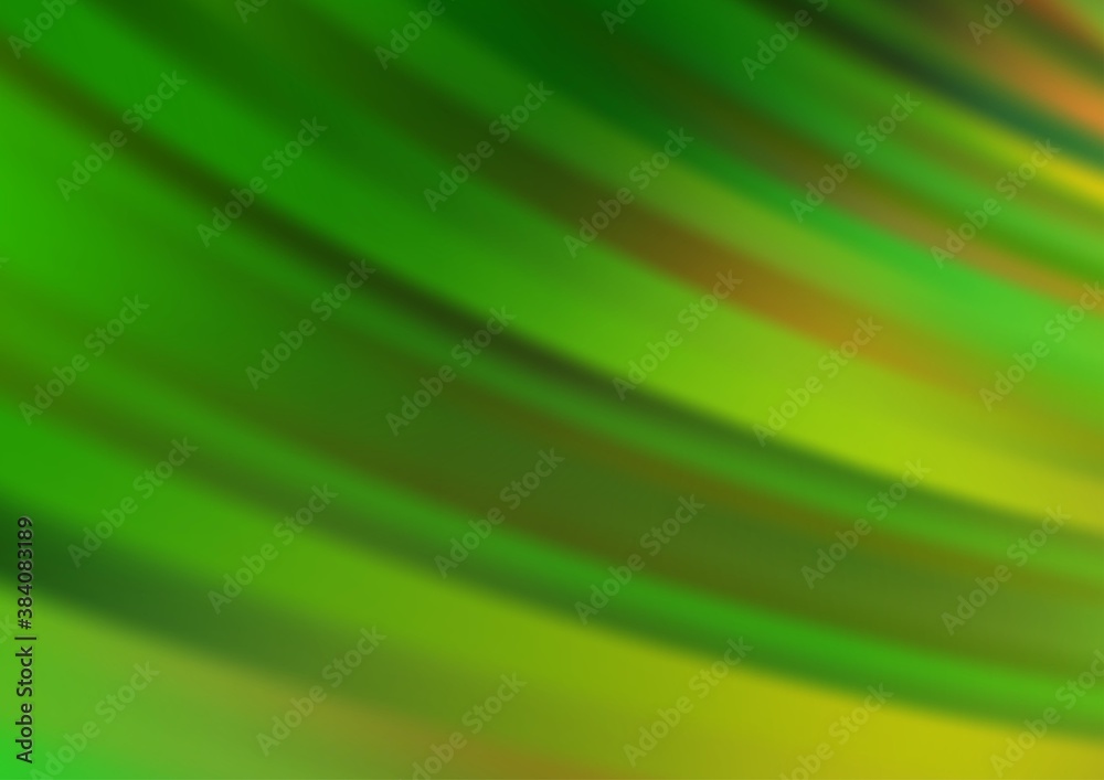 Light Green vector backdrop with long lines. Light Green vector backdrop with long lines.