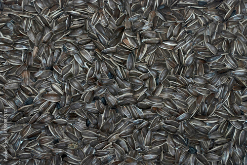 sunflower seeds