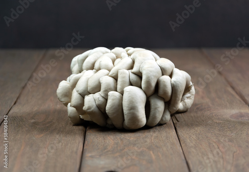 Mushrooms on a dark wooden background.