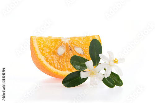 Orange and flower set on white background