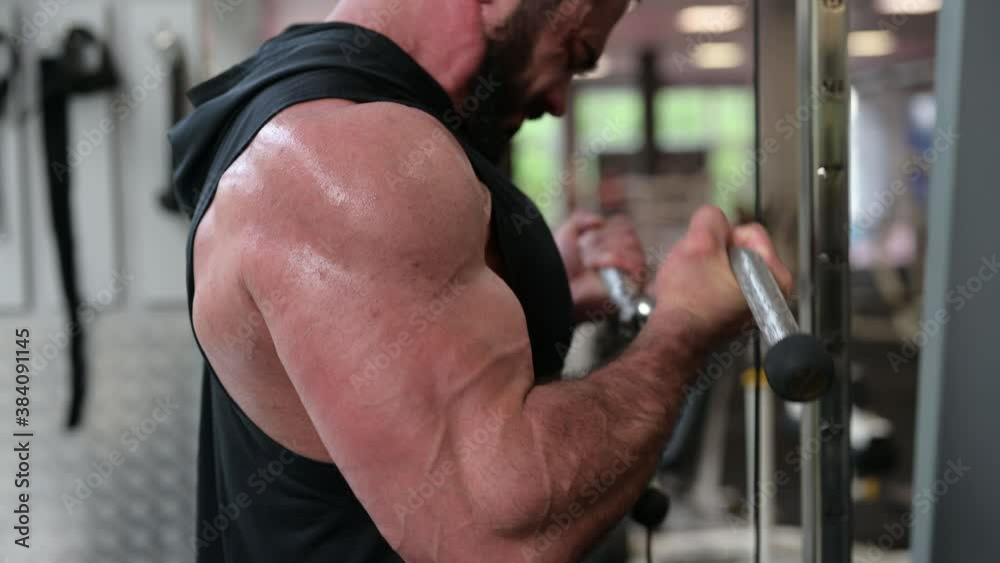 strong young bearded man athlete lifting heavy weight using exercise equipment indoors gym during sport workout biceps training shouting with effort