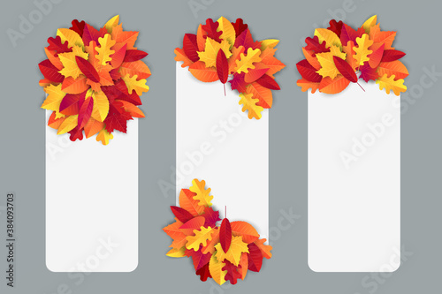 Autumn vectical banner with a bunch of red and orange leaves. Fall promo design template with free empty space for text. Vector illustration.