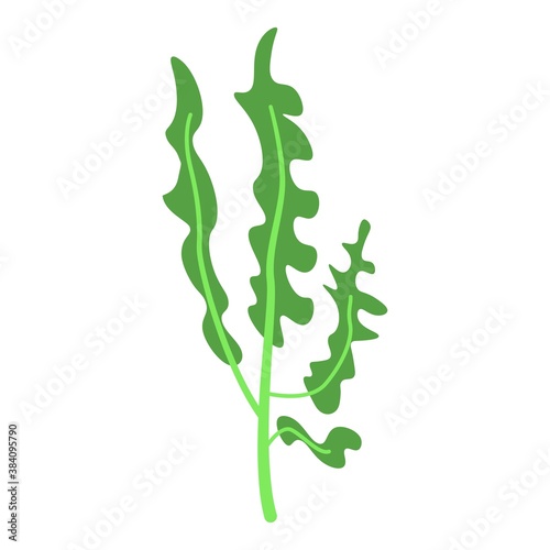 Arugula icon. Isometric of arugula vector icon for web design isolated on white background
