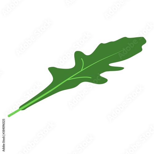 Arugula garden leaf icon. Isometric of arugula garden leaf vector icon for web design isolated on white background
