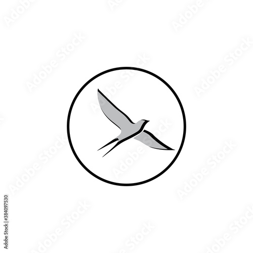 creative logo design Swallow bird logo vector template illustration