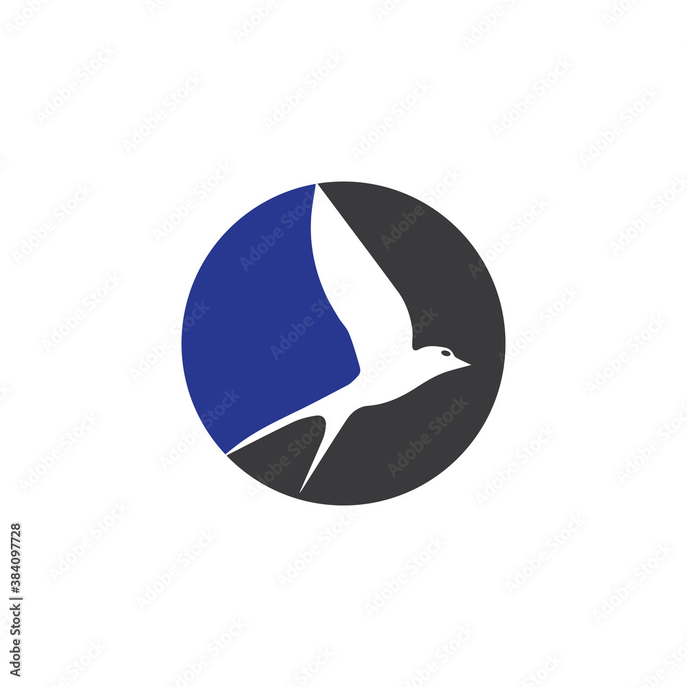 creative logo design Swallow bird logo vector template illustration creative logo design Swallow bird logo vector template illustration