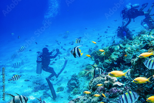 divers swimming underwater near coral reefs