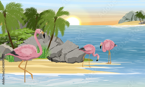 A flock of pink flamingos in the water near the coast of a tropical island with stones and palm trees. Birds of Africa and South America. Anser caerulescens. Realistic vector landscape