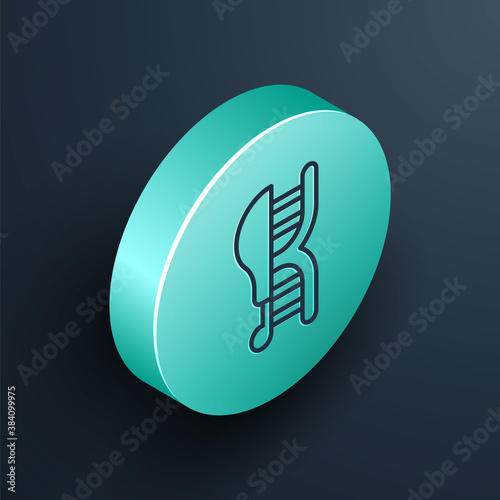 Isometric line Genetically modified chicken icon isolated on black background. Syringe being injected to chicken. Turquoise circle button. Vector.