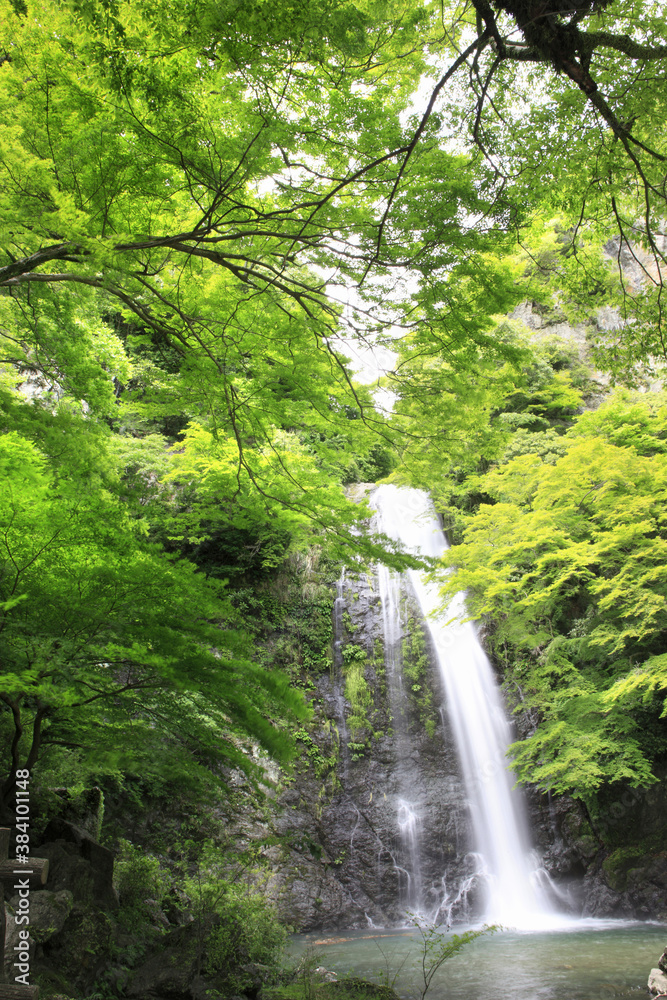 Obraz premium 箕面の滝