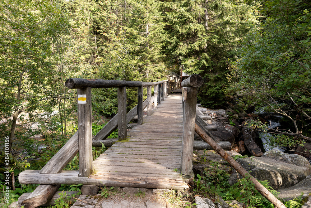 Wooden bridge in the Krkonose National Park. Czech Republic