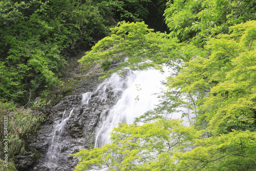 箕面の滝