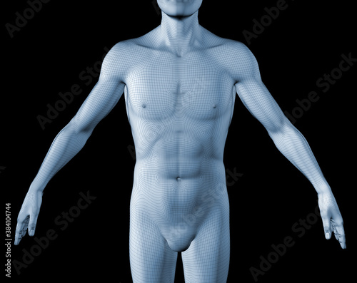 3d human